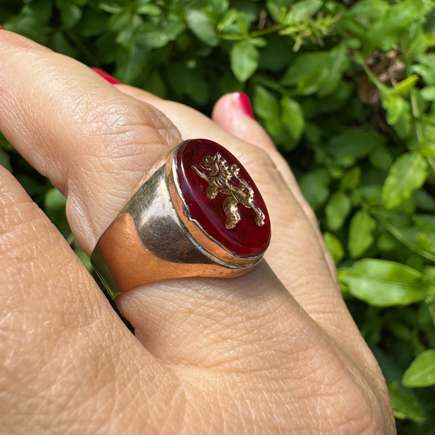 14K gold signet ring set with a smooth deep red stone set with a golden lion motif