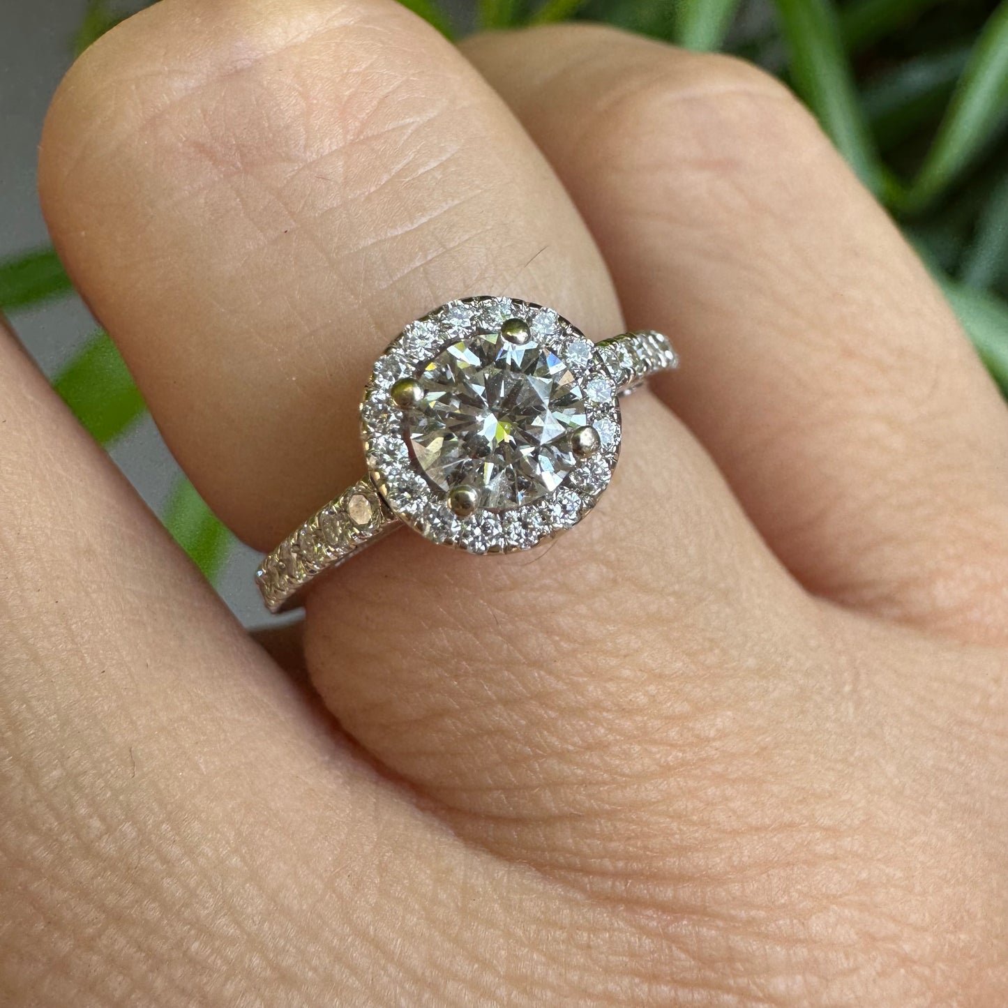 טבעת זהב לבן 14 קראט משובצת יהלום מרכזי עגול והילה נוצצת של יהלומים קטנים, עם יהלומים נוספים על החישוק.