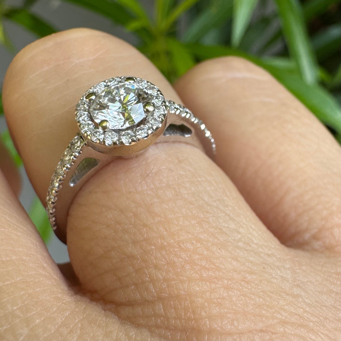 טבעת זהב לבן 14 קראט משובצת יהלום מרכזי עגול והילה נוצצת של יהלומים קטנים, עם יהלומים נוספים על החישוק.