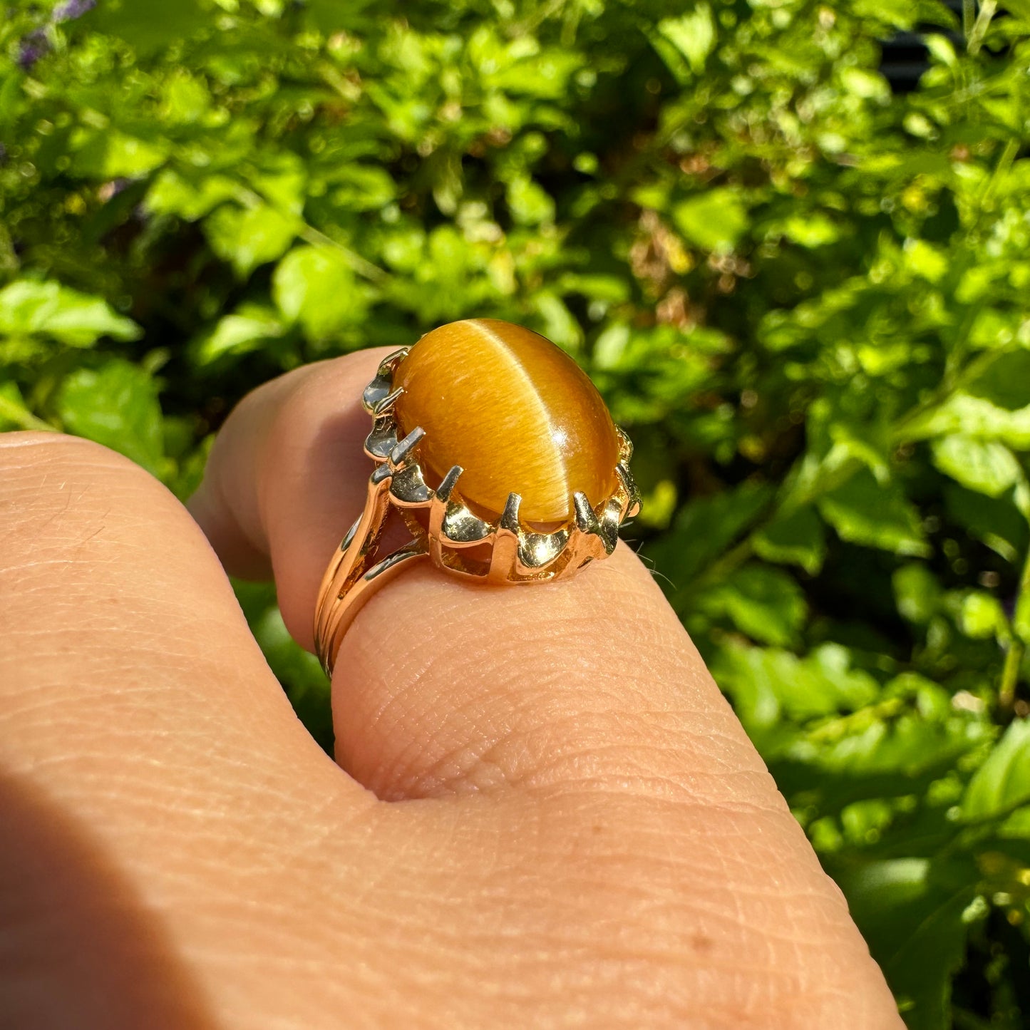 14K gold ring set with a yellow Tiger’s Eye cabochon
