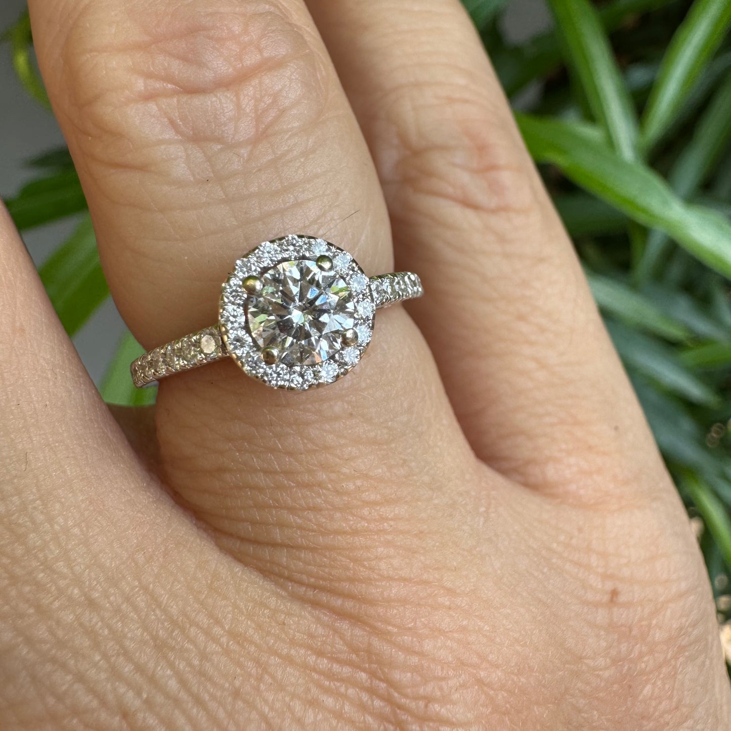 טבעת זהב לבן 14 קראט משובצת יהלום מרכזי עגול והילה נוצצת של יהלומים קטנים, עם יהלומים נוספים על החישוק.